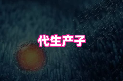 swisee孕网 1