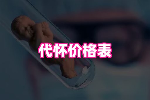 swisee孕网 3