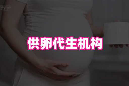 swisee孕网 4
